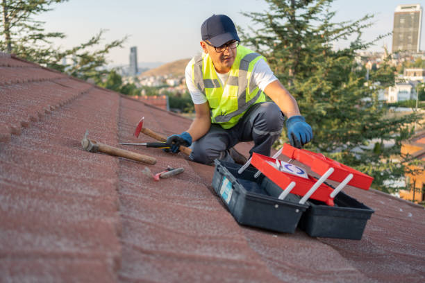 Best Vinyl Siding Installation  in Hayden, CO